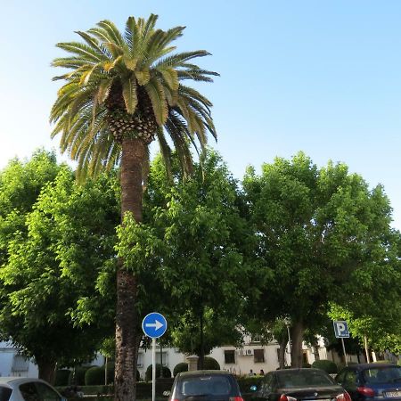 דירות קורדובה Patios De San Pedro מראה חיצוני תמונה